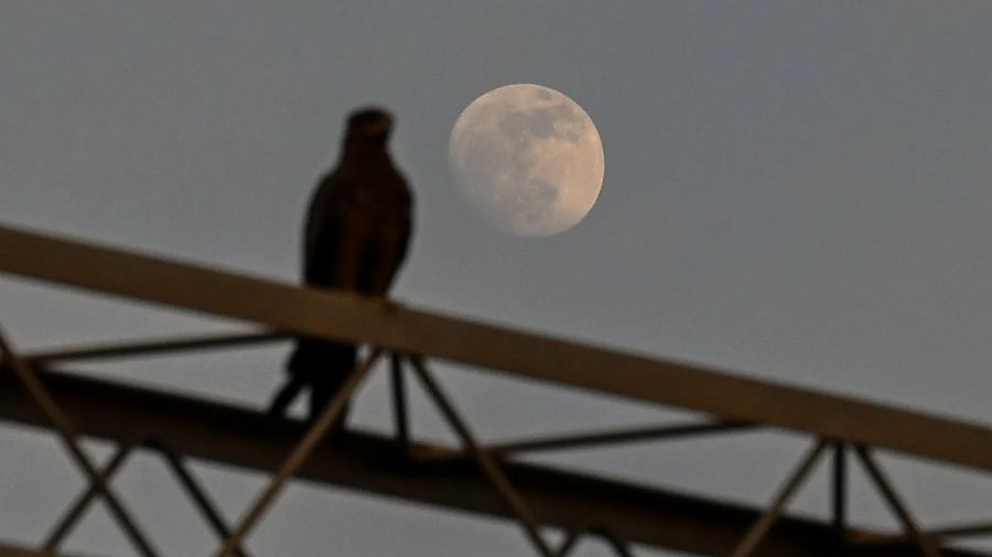<div class="paragraphs"><p>Skywatchers in the city get a glimpse of the moon ahead of the total lunar eclipse on the night of September 7 and 8. </p></div>