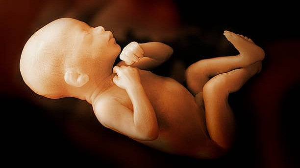 <div class="paragraphs"><p>Representative image of a fetus.</p></div>