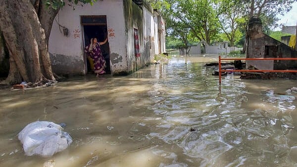 <div class="paragraphs"><p>A woman stands amid floodwater of the swollen Yamuna river.</p></div>
