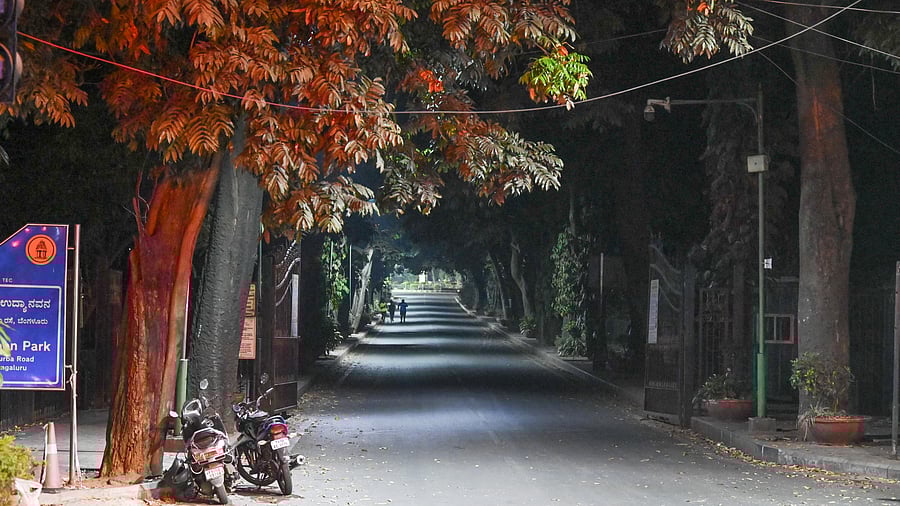 <div class="paragraphs"><p>A quiet corner of Cubbon Park after sunset. </p></div>