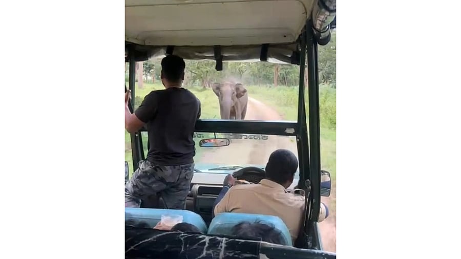 <div class="paragraphs"><p>A screenshot from a video clip of wild jumbo chasing a safari vehicle, at Bandipur Tiger Reserve, in Gundlupet taluk, Chamarajanagar district.&nbsp;</p></div>