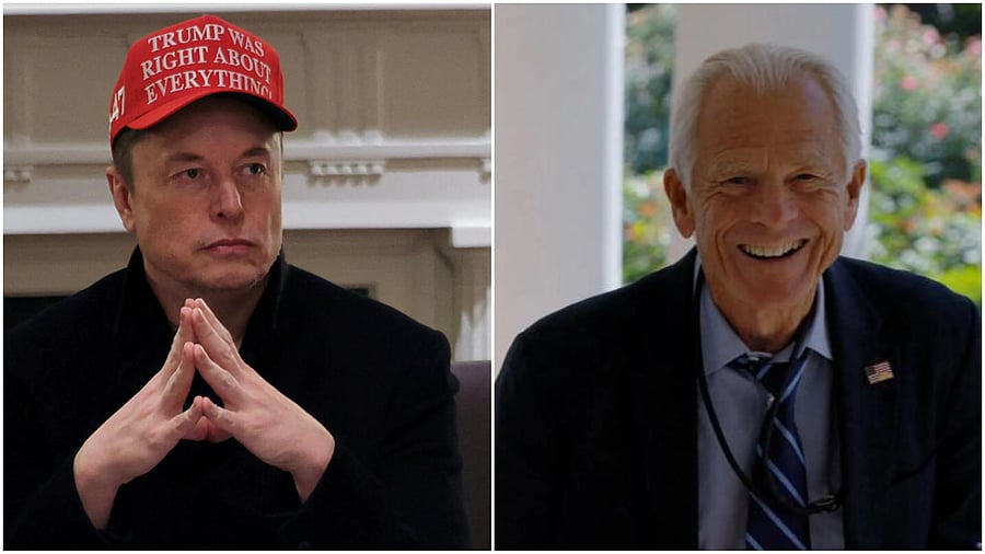 <div class="paragraphs"><p>Elon Musk (L) and Peter Navarro.</p></div>
