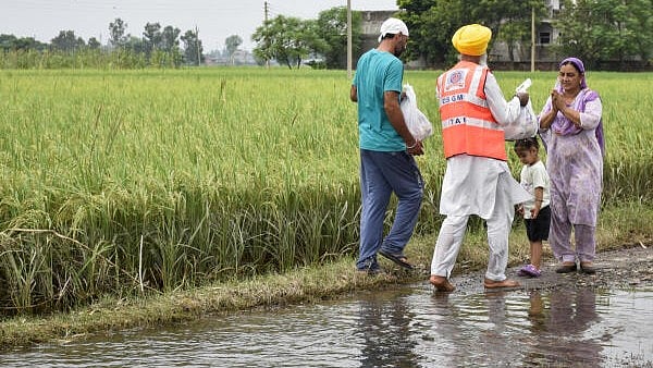 <div class="paragraphs"><p>Flood hit farm lands in Punjab.</p></div>