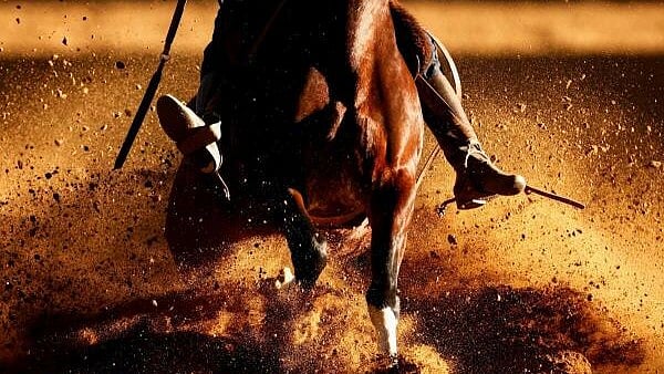 <div class="paragraphs"><p>A participant rides a Criollo horse as he competes in the Freio de Ouro, Brazil's main competition for handling Criollo horses, a breed native to the South American pampas, in Esteio, Brazil.</p></div>
