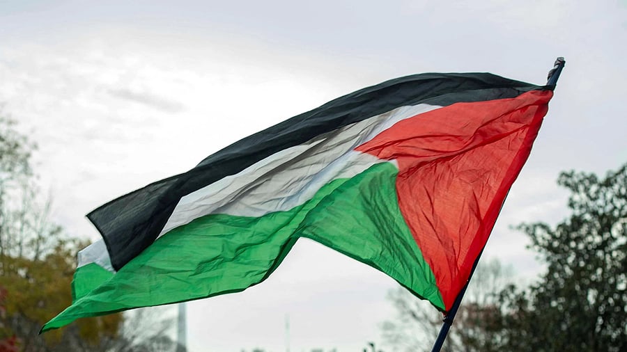<div class="paragraphs"><p>A person waves a Palestine flag.</p></div>