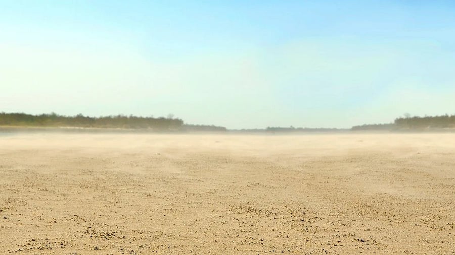 <div class="paragraphs"><p>Representative image of land. </p></div>