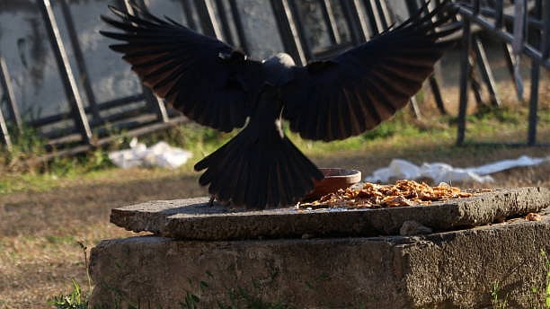 <div class="paragraphs"><p>Representative image for&nbsp;Pitru Paksha rituals.</p></div>