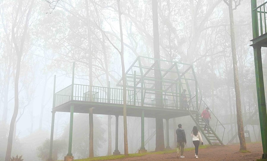 <div class="paragraphs"><p>A view of the Nandi Hills.</p></div>