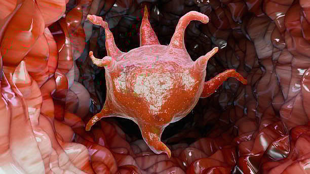 <div class="paragraphs"><p>Image for representational purposes.</p></div>