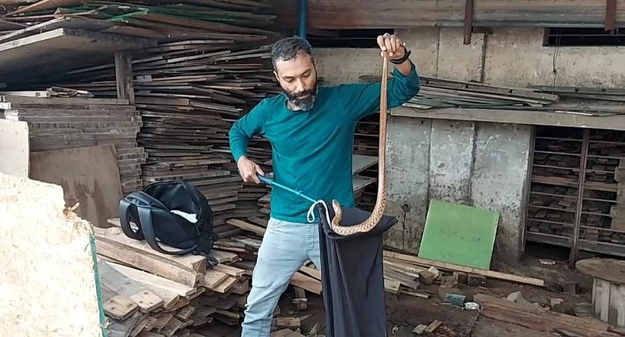 Shuayb Ahmed with a checkered keelback, a non-venomous snake.