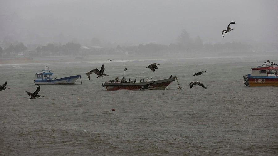 <div class="paragraphs"><p>Representative image showing a coast struck by an earthquake.</p></div>