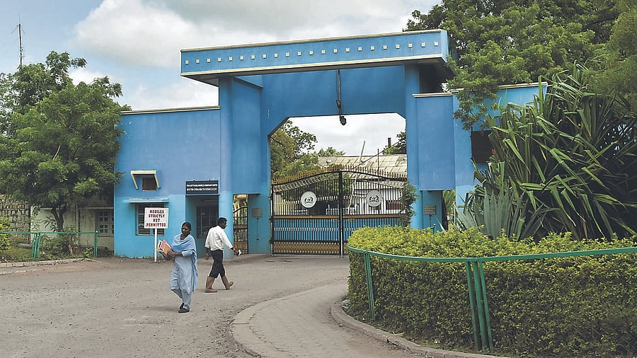 <div class="paragraphs"><p>Hutti Gold Mines entrance.</p></div>