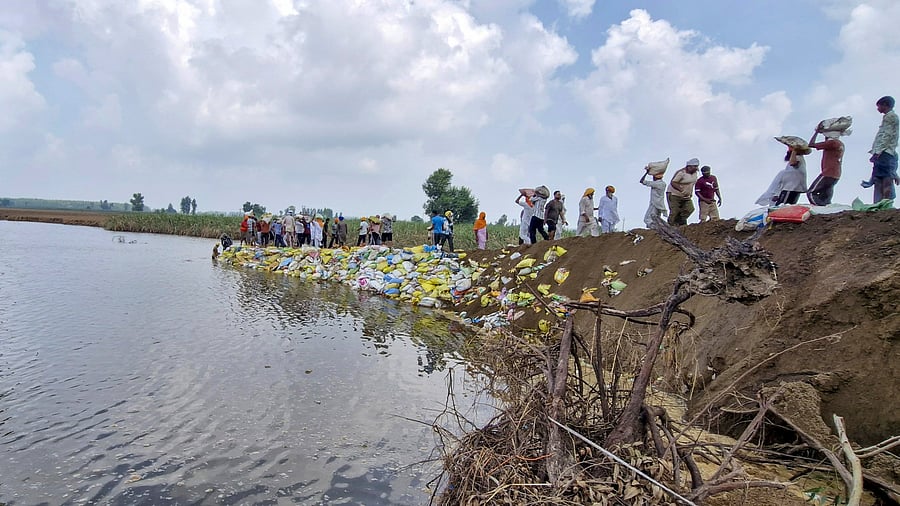 <div class="paragraphs"><p>Flood-hit people struggling to rebuild their homes, farmers worried over silt in fields in Hoshiarpur.</p></div>