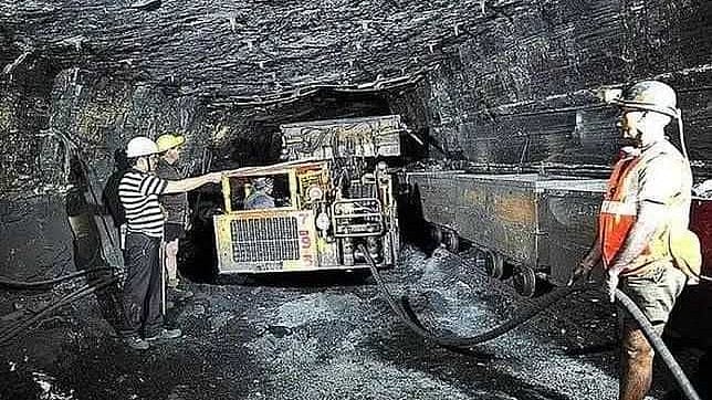 <div class="paragraphs"><p>SCCL has also decided to foray into the international critical minerals sector. (Representative image)</p></div>