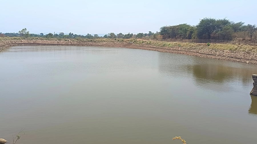 <div class="paragraphs"><p>A lake at Agasga village in Belagavi district, which has been rejuvenated under 'Amrut Sarovar' project through&nbsp;MGNREGS, has&nbsp;improved the water table in the village.&nbsp;&nbsp;</p></div>
