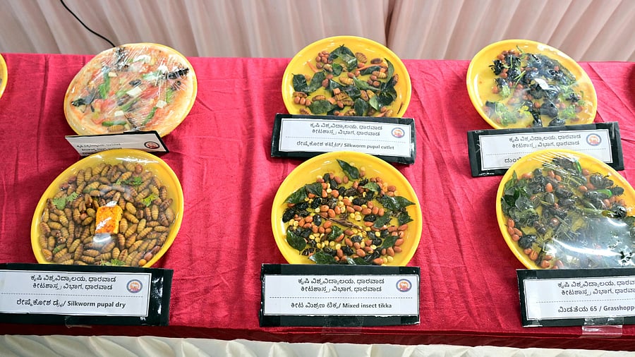 <div class="paragraphs"><p>Food items prepared using edible insects. </p></div>