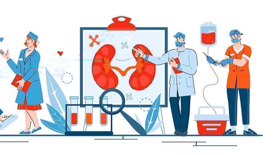 Banner on topic of medical treatment of kidney diseases, cartoon vector illustration isolated on white background. Surgery, hemodialysis and ultrasound diagnosis. Doctors and patients characters.
Hemodialysis, Kidney - Organ, Dialysis Machine, Human Kidney, Healthcare And Medicine