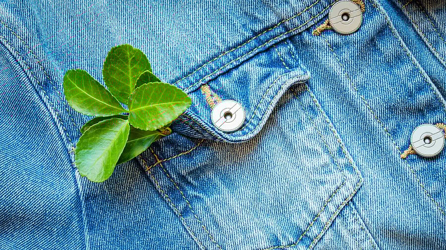 <div class="paragraphs"><p>Where fashion falters: The life and afterlife of clothes</p></div>