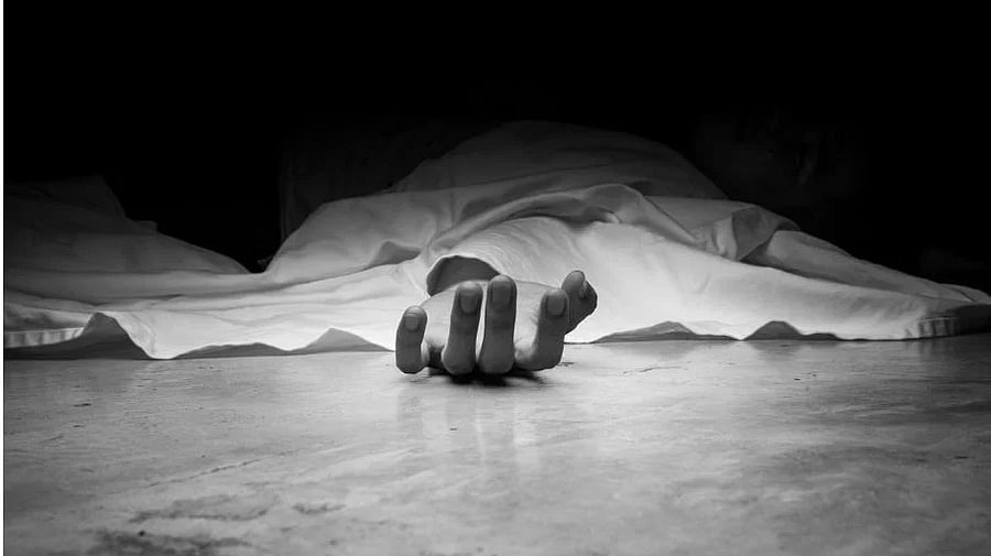 <div class="paragraphs"><p>Image for representation.</p></div>