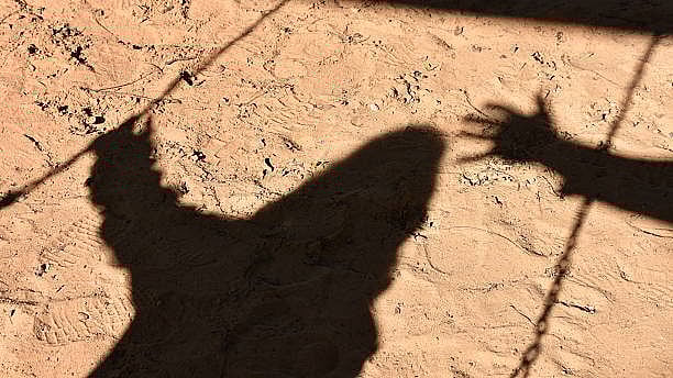 <div class="paragraphs"><p>Image for representational purposes.</p></div>