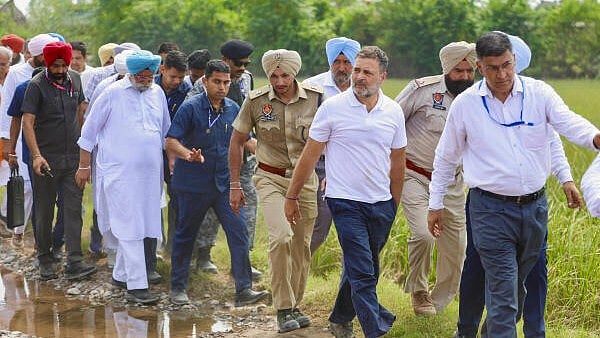 <div class="paragraphs"><p>LoP in the Lok Sabha and Congress leader Rahul Gandhi inspects the areas affected by recent floods.</p></div>