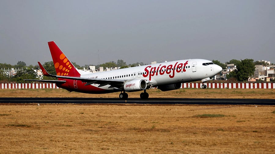 <div class="paragraphs"><p> A SpiceJet passenger Boeing 737-800 aircraft </p></div>