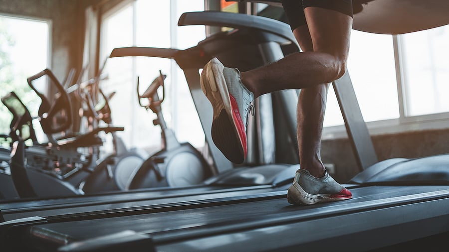 <div class="paragraphs"><p>Representative image.</p></div>