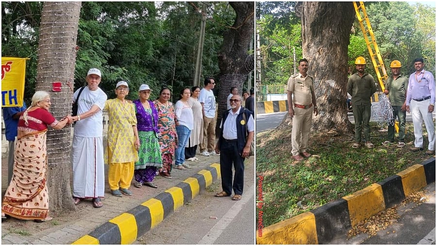 <div class="paragraphs"><p>Mysureans led by Mysore Grahakara Parishat hug trees wired for Dasara Illumination(L), Wires wrapped to trees on Lalitha Mahal road removed. </p></div>