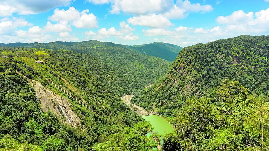 <div class="paragraphs"><p>A view of the Sharavathi valley.</p></div>