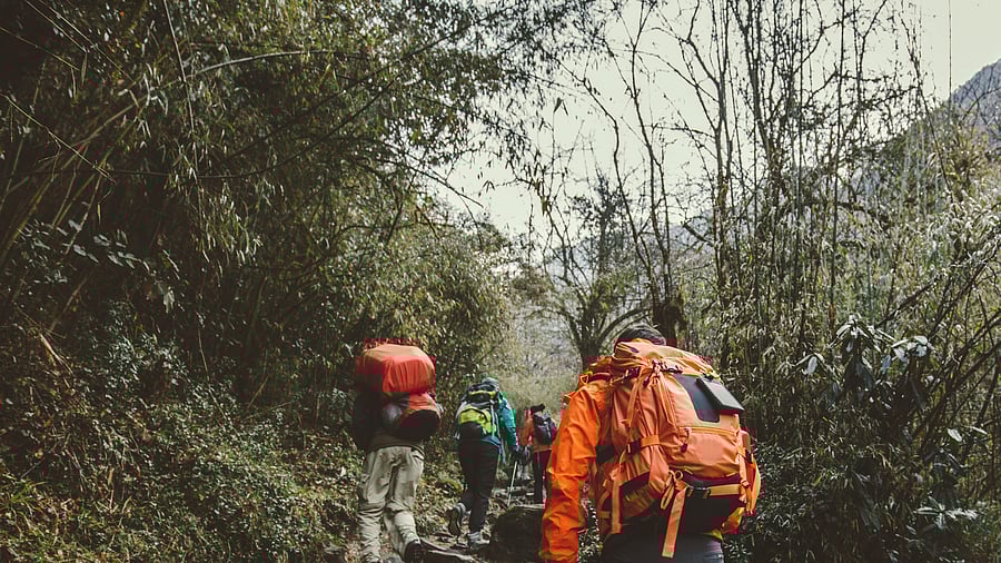 <div class="paragraphs"><p>File image of people trekking. </p></div>