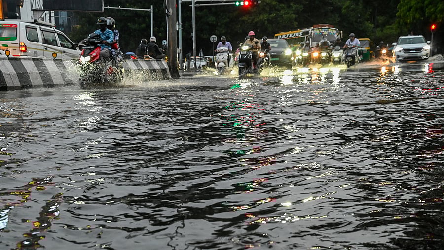 <div class="paragraphs"><p>Motorists wade through knee-deep water on MG Road on Thursday. </p></div>