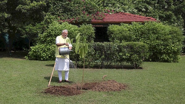 <div class="paragraphs"><p>PM Modi plants a sapling gifted by King Charles III.</p></div>