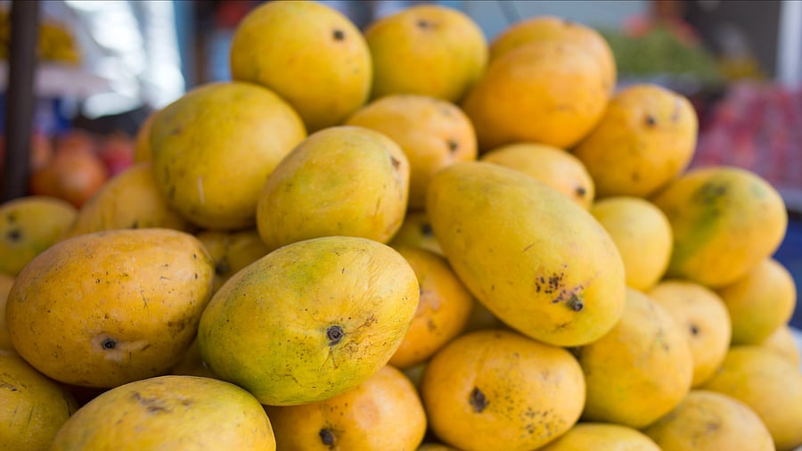 <div class="paragraphs"><p>Mangoes.</p></div>