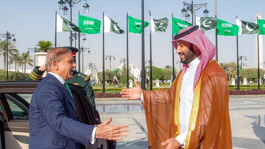 <div class="paragraphs"><p>Saudi Crown Prince Mohammed bin Salman and Pakistan Prime Minister Shehbaz Sharif </p></div>