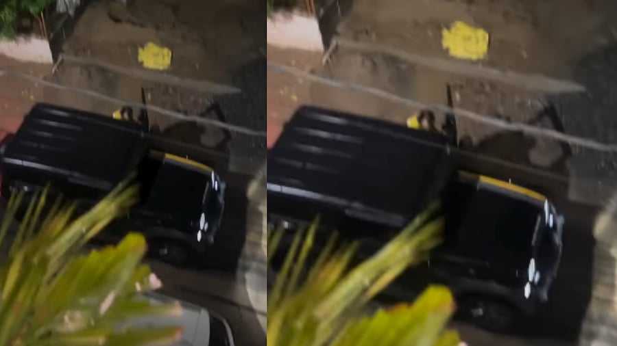 <div class="paragraphs"><p>Viral video shows delivery guy arriving in Thar. Screengrab.</p></div>