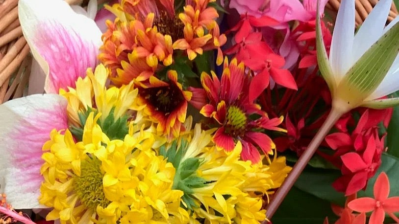 <div class="paragraphs"><p>A bouquet of diversity. </p></div>