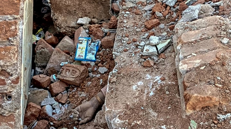 <div class="paragraphs"><p>A representative image.</p></div>