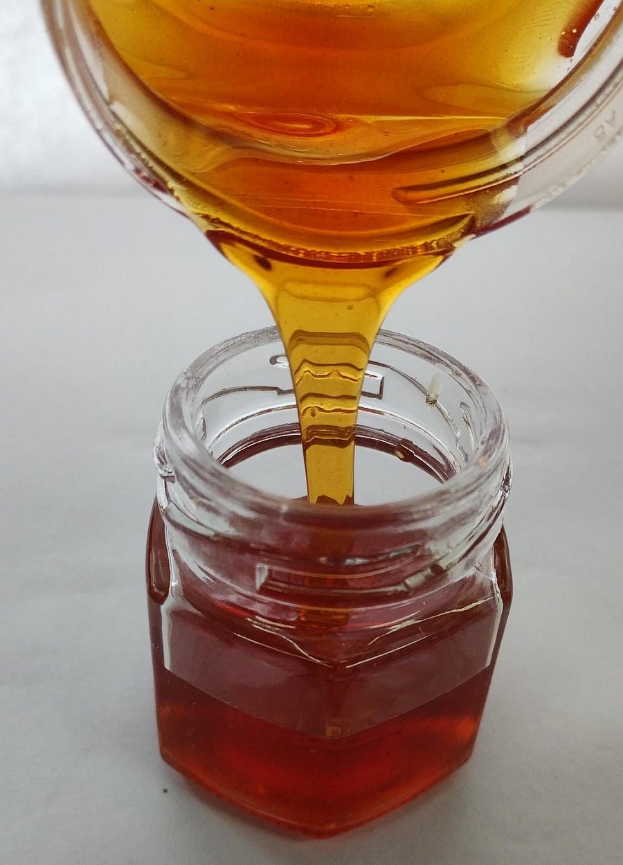 <div class="paragraphs"><p>Representative image of Joni bella.</p></div>