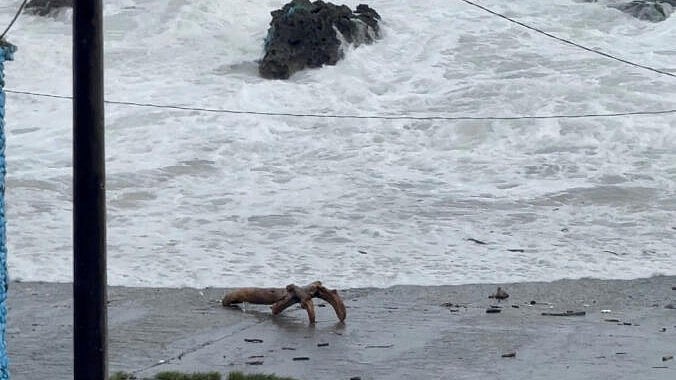 <div class="paragraphs"><p>A person walks on the shore while huge waves crash as Super Typhoon Ragasa peripheral brings in rain in the region, in Orchid Island, Taitung County, Taiwan.</p></div>