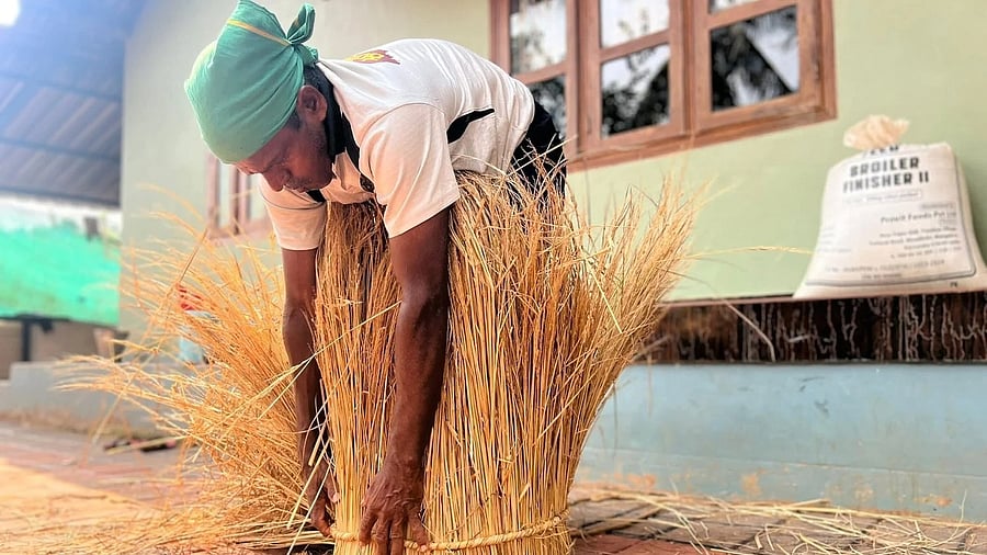 <div class="paragraphs"><p>An artisan shapes dry grass into a storage container. </p></div>