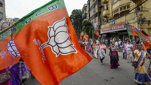 <div class="paragraphs"><p>A BJP flag. (Representative Image)</p></div>