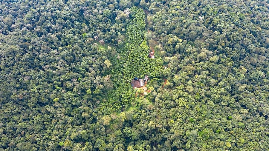 <div class="paragraphs"><p>A bird's-eye view of the Kali Tiger Reserve in Uttara Kannada district.</p></div>