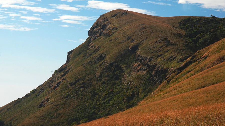 The committee discussed the proposal to draw aerial bunched cables within the national park limits.