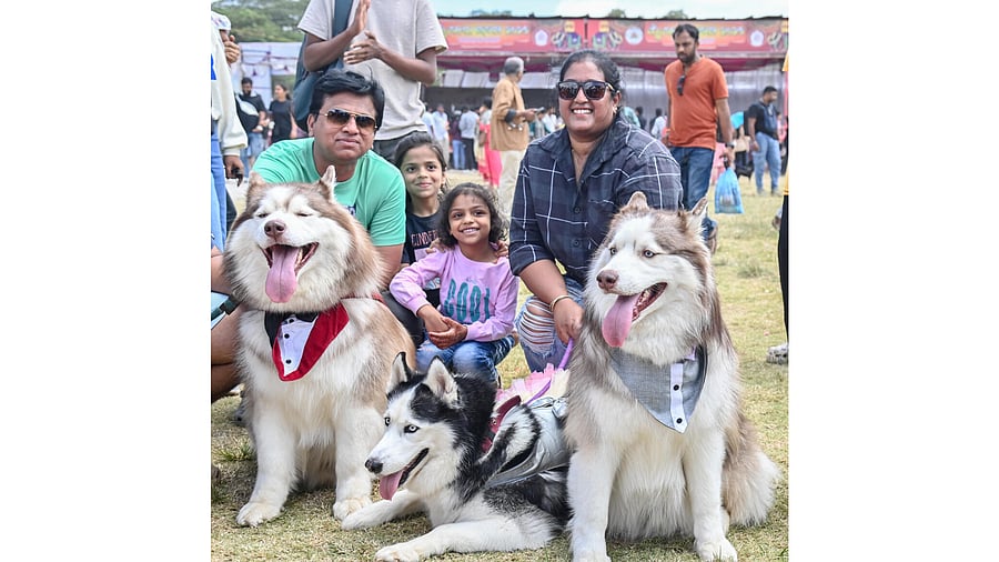 <div class="paragraphs"><p>Dog lovers display their dogs at the pet show at J K Ground in Mysuru on Sunday. </p></div>