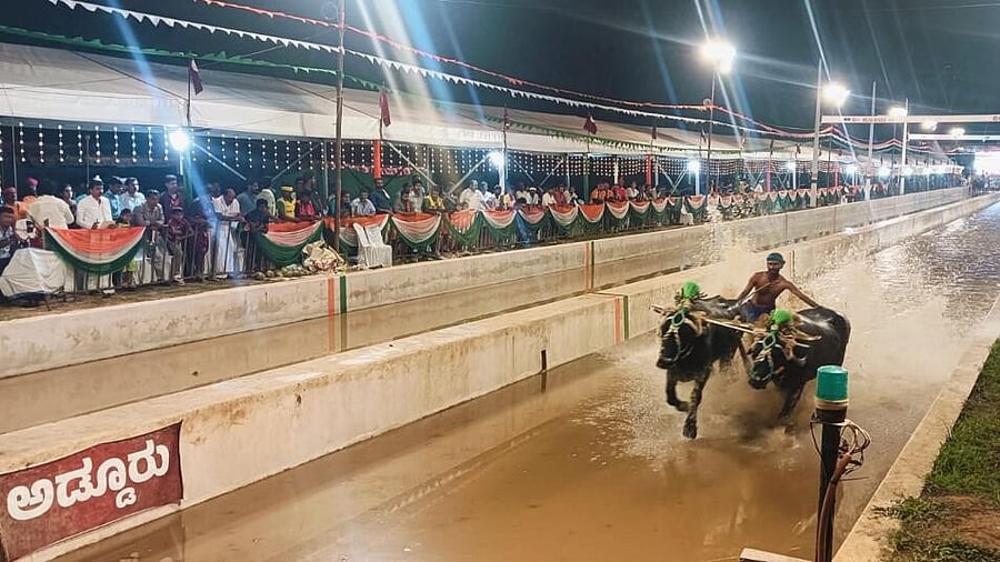 <div class="paragraphs"><p>Action from last season's Kambala. </p></div>