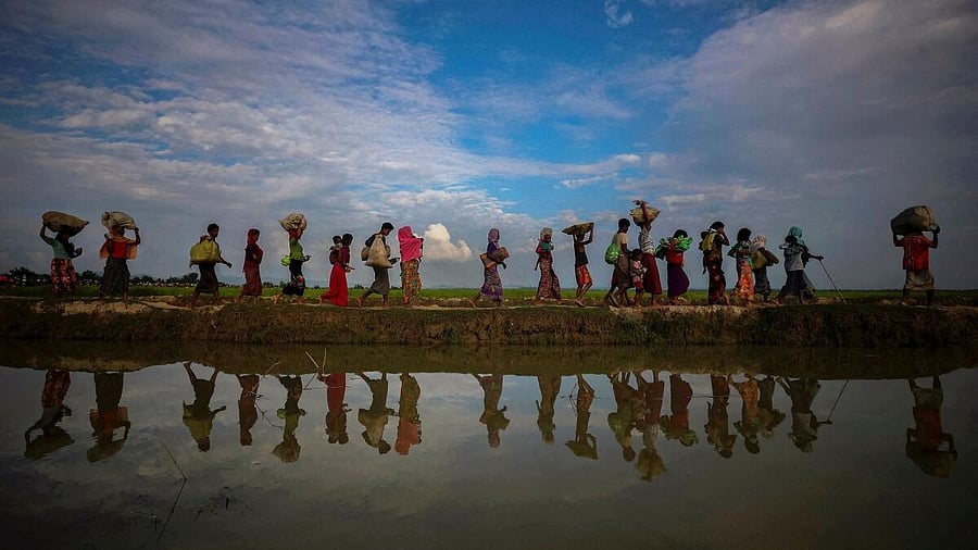 <div class="paragraphs"><p>Rohingya refugees are reflected in rain water along an embankment next to paddy fields after fleeing from Myanmar into Palang Khali, near Cox's Bazar, Bangladesh.</p></div>