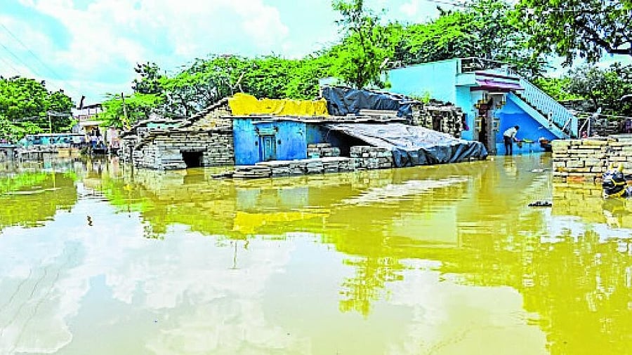 <div class="paragraphs"><p>Houses flooded by River Bhima in Kadabur village of  Chittapur taluk in Kalaburagi district on Monday. </p></div>