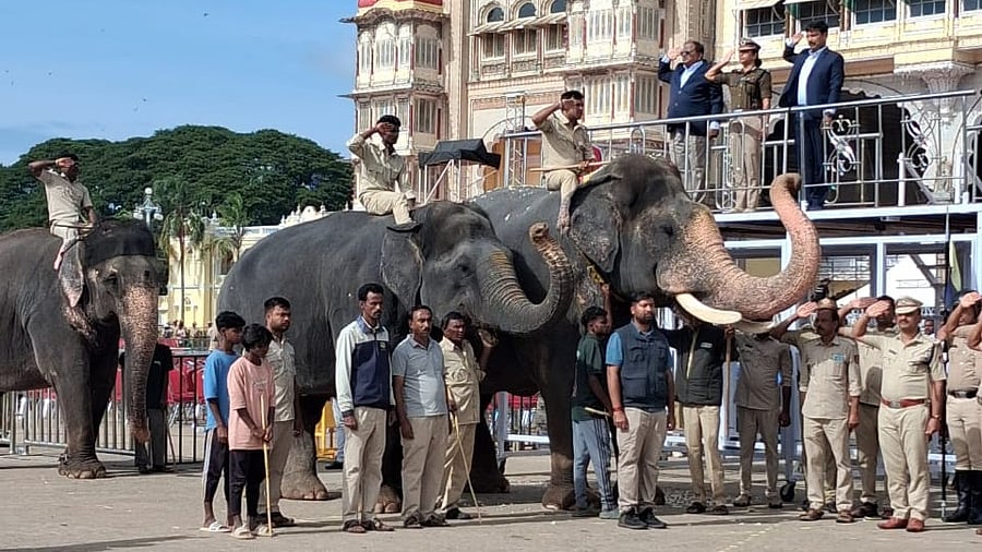 <div class="paragraphs"><p>Abhimanyu during final round of rehearsal in front of Mysuru Palace on Tuesday morning. Mysuru City Police Commissioner Seema Latkar, Conservator of Forest S S Ravishankar, and DCF I B Prabhu Gowda are seen. </p><p></p></div>