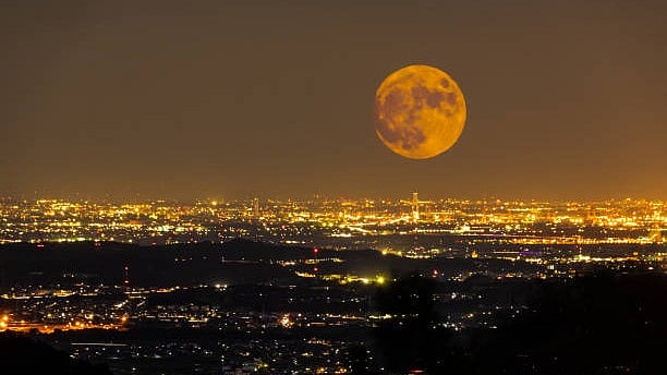 <div class="paragraphs"><p>Harvest moon.</p></div>