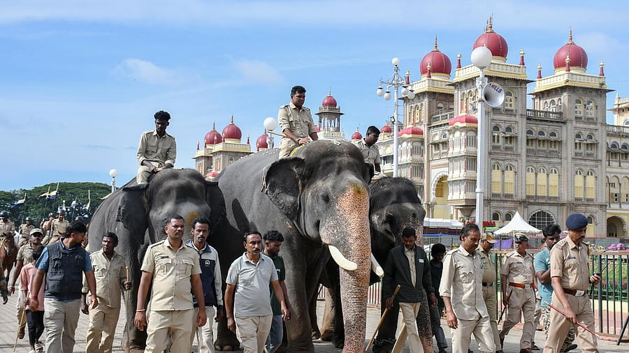<div class="paragraphs"><p>Thousands of people are expected to witness the ‘Jamboo Savari.’</p></div>